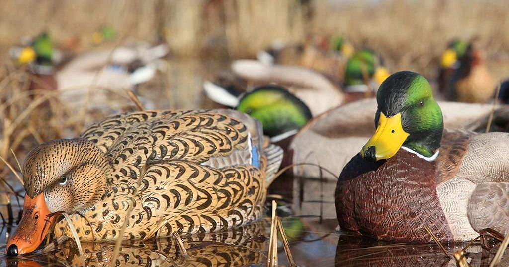 GHG Pro-Grade XD Series Mallard Harvester Pack Decoys, 6-Pk