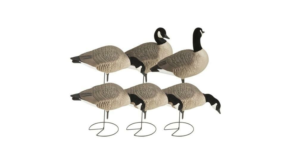 Avery Canadian Harvester Hunter Series Decoy Set