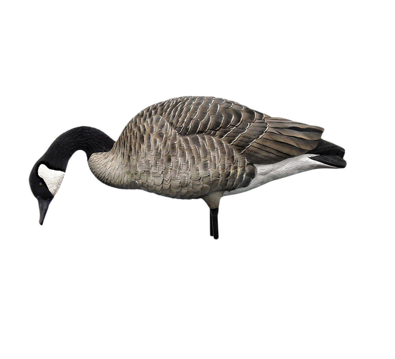 Avian-X AXP Honkers Full Body Decoys Fusion Pack, 6-Pk