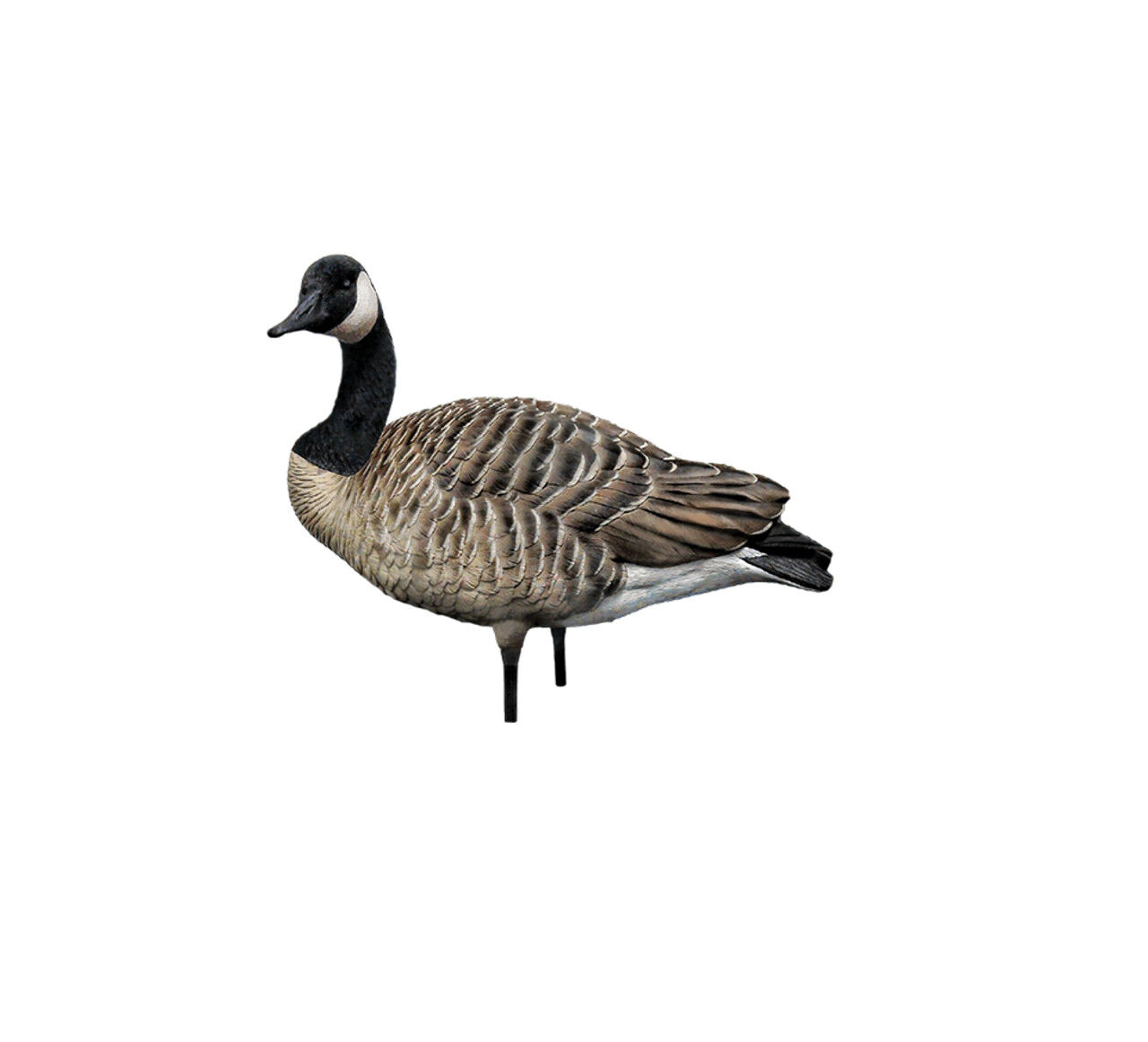 Avian-X AXP Honkers Full Body Decoys Fusion Pack, 6-Pk