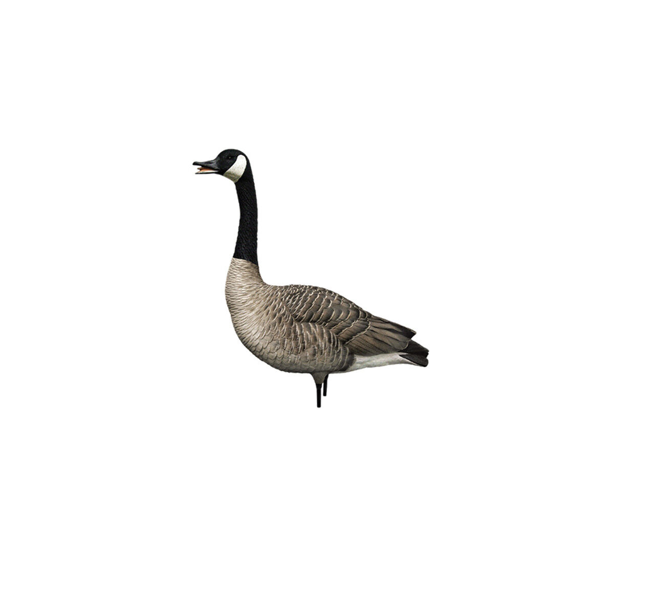 Avian-X AXP Honkers Full Body Decoys Fusion Pack, 6-Pk
