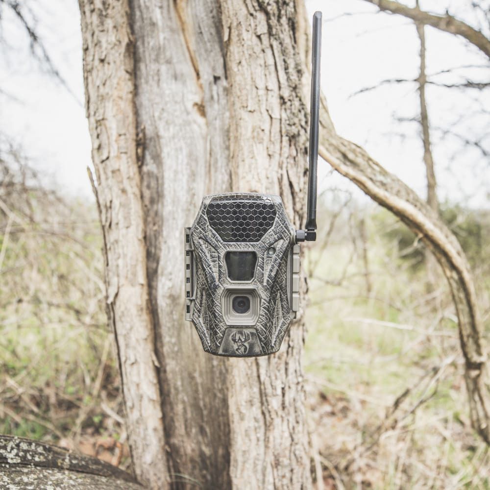 Wildgame Innovations Terra XT Trail Camaras, 2-Pk