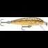 Rapala 7/16 Countdown Lure Brown Trout - 3 1/2 in
