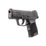 Sig Sauer P365-380 380 Auto Pistol, 10-Rd