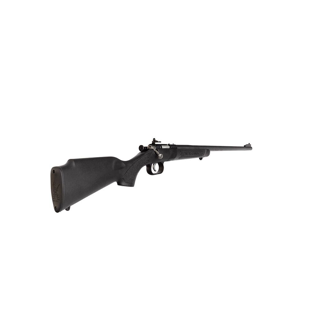 Keystone Sporting Arms Crickett Rifle .22 LR 16.1-In Black Synthetic Blued Bolt Action Rifle, 1-Rd