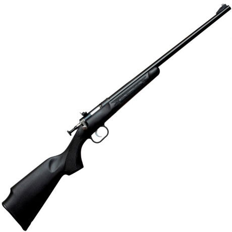 Keystone Sporting Arms Crickett Rifle .22 LR 16.1-In Black Synthetic Blued Bolt Action Rifle, 1-Rd