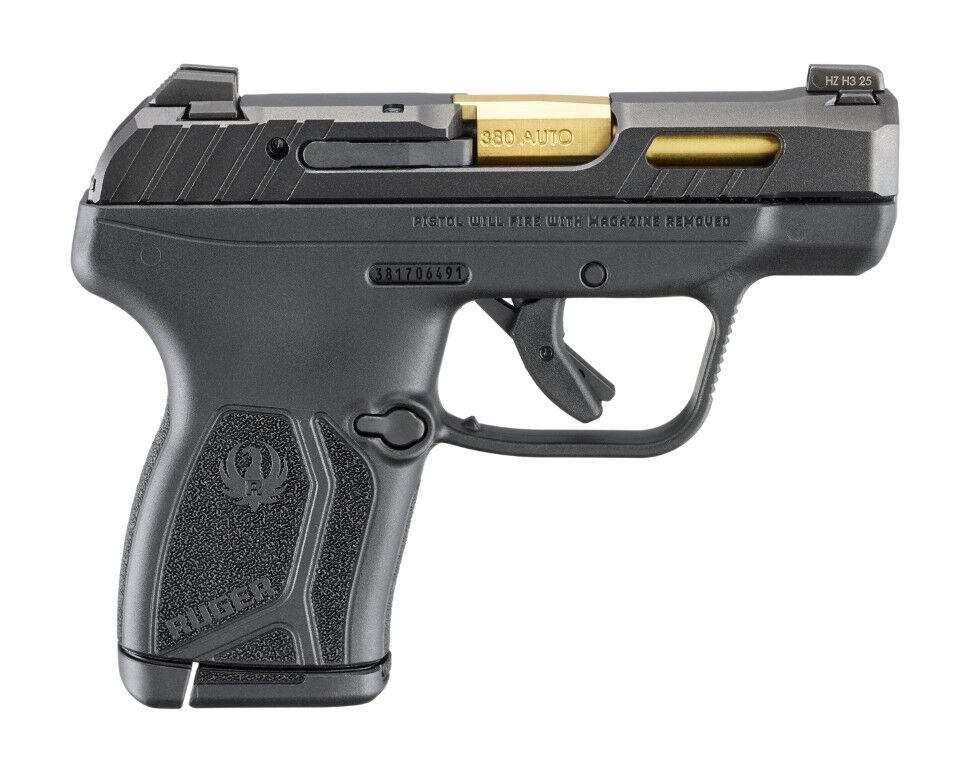 Ruger LCP Max 380 Auto Compact Pistol, 10 rd.