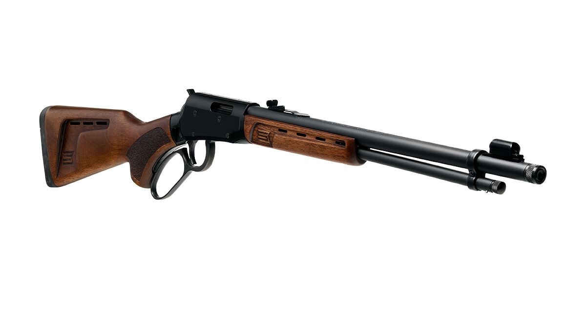 Savage Arms Black Revel DLX 22 LR 18-In Rifle, 12-Rd