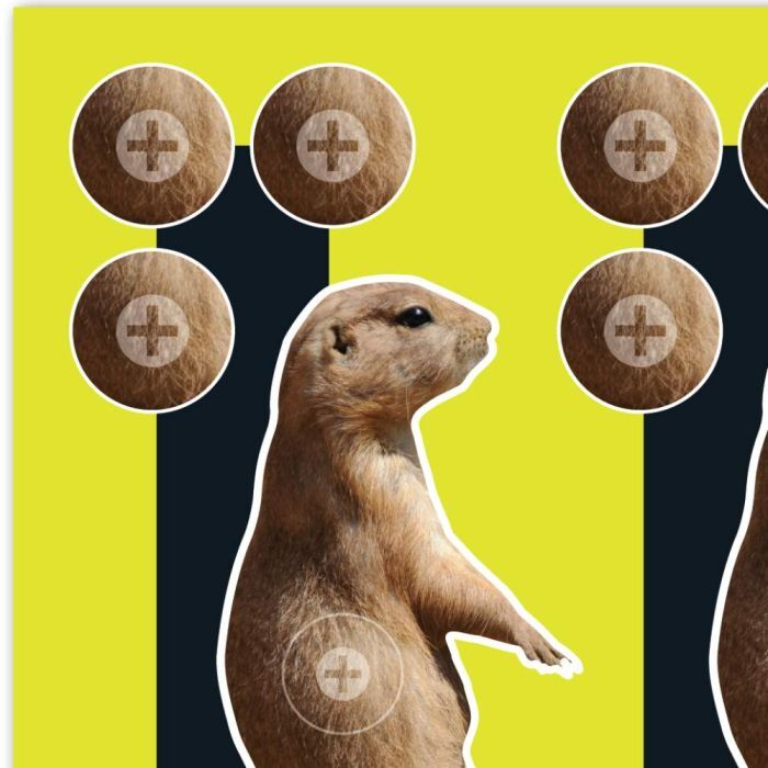 Allen Company Black EZ Aim Splash Reactive Paper Prairie Dog Shooting Targets, 8 X  8-In, 6-Pk