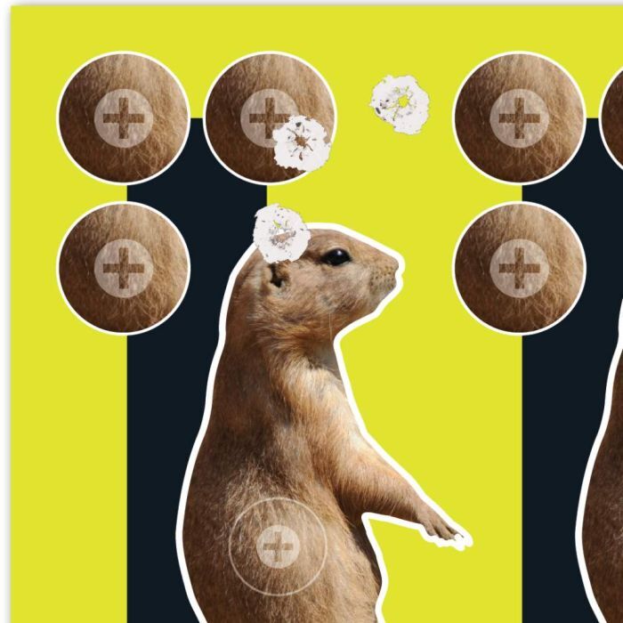 Allen Company Black EZ Aim Splash Reactive Paper Prairie Dog Shooting Targets, 8 X  8-In, 6-Pk