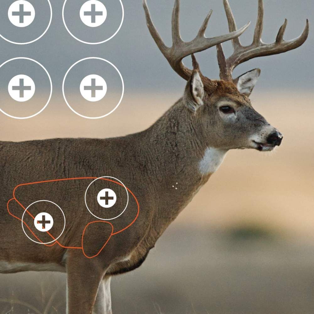 EZ Aim Multi-Color Splash Reactive Paper Shooting Targets, Whitetail Target, 24 X 13-In, 3-Pk