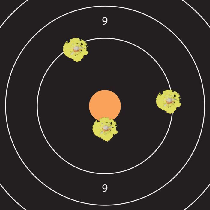 Allen EZ Aim Adhesive Paper Shooting 12-In Bullseye Targets, 10-Pk