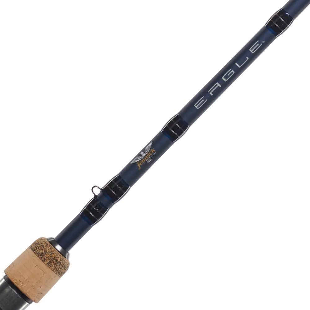 Pflueger President Eagle Spinning Combo