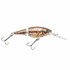 Berkley 2 3/4 in Flicker Shad Jointed Crankbait Fishing Lure - Hd Blacknose Dace