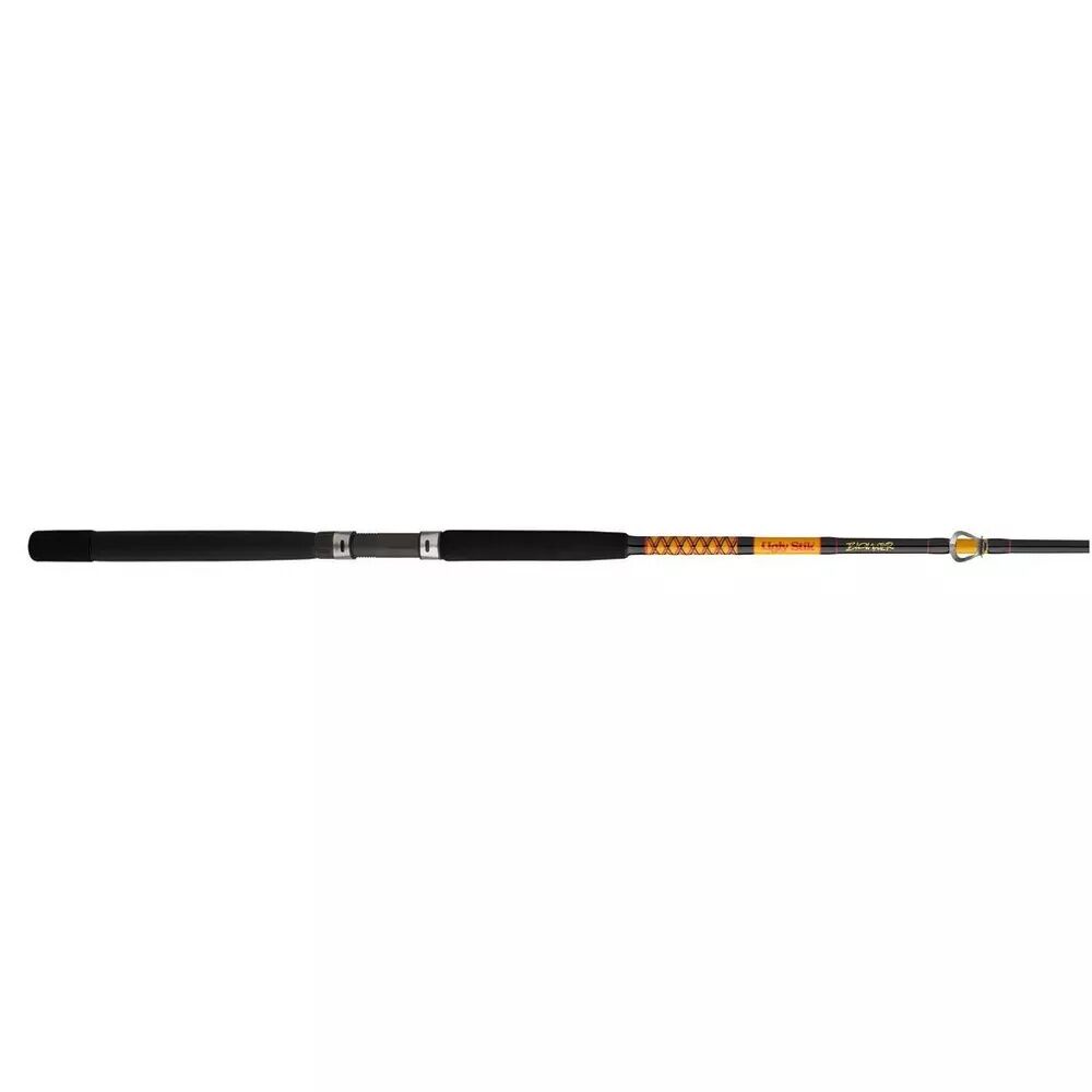Ugly Stik Bigwater Conventional Casting Rod Heavy, 1-Piece, 7-Ft