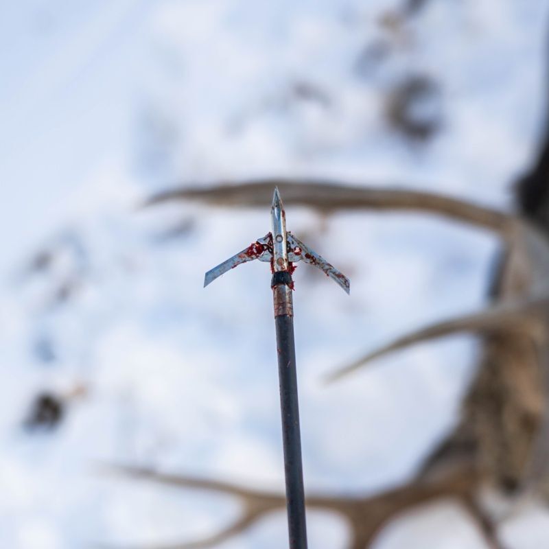 Rage Hypodermic Trypan NC Broadheads, 100-Grain, 3-Pk