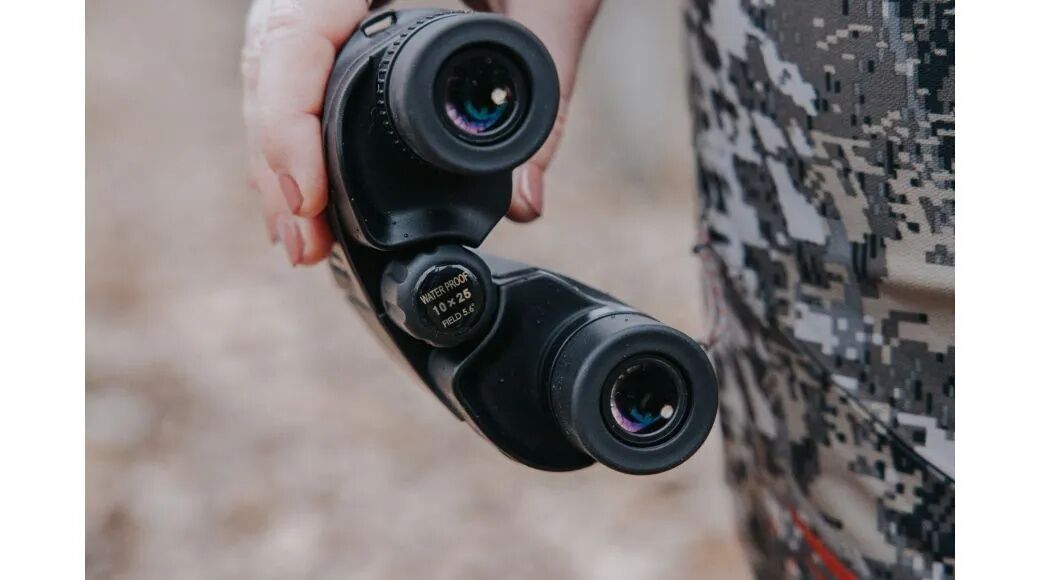 Leupold BX-1 Rogue 10x25mm Compact Binoculars