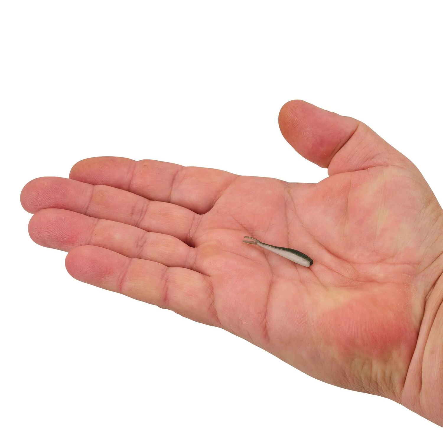 Berkley Gulp! Alive! Emerald Shiner Minnow, 1-In, 2.1-Oz