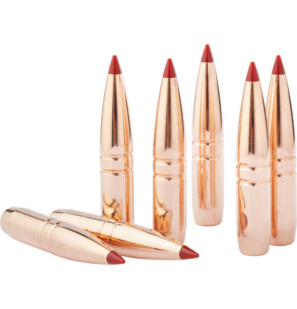 Hornady CX 6mm .243 90 Grain Ammo, 50-Ct