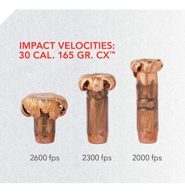 Hornady CX 30 Cal .308 110-Gr Rifle Ammo, 50-Ct
