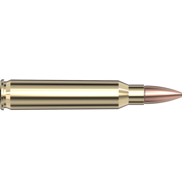 Hornady Black 5.56 NATO, 62 Grain Full Metal Jacket Rifle Ammo, 20-Rd