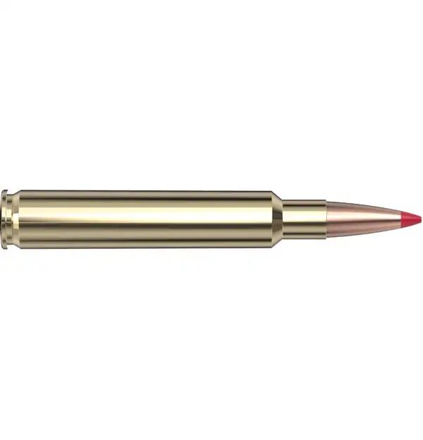 Hornady Precision Hunter .280 Ackley Improved, 162 Grain ELD-X Rifle Ammo, 20-Rd