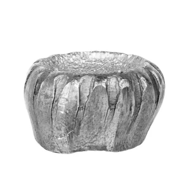 Hornady American Whitetail 12 Gauge 2 3/4" Rifled Slug, 1-Oz, 5-Rd