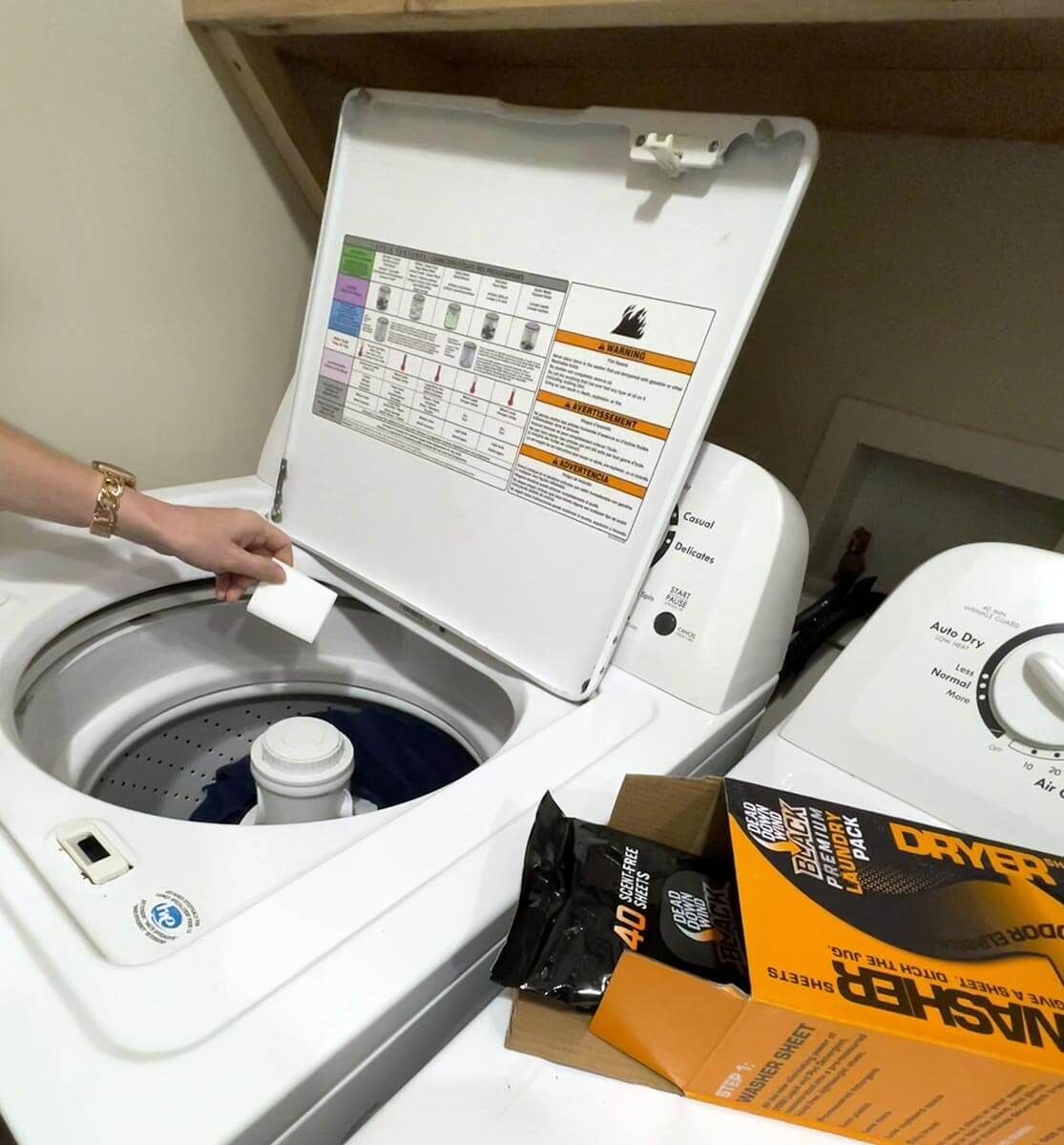 Dead Down Wind Black Premium Laundry Detergent Sheet / Dryer Sheet Combo, 40-Pk