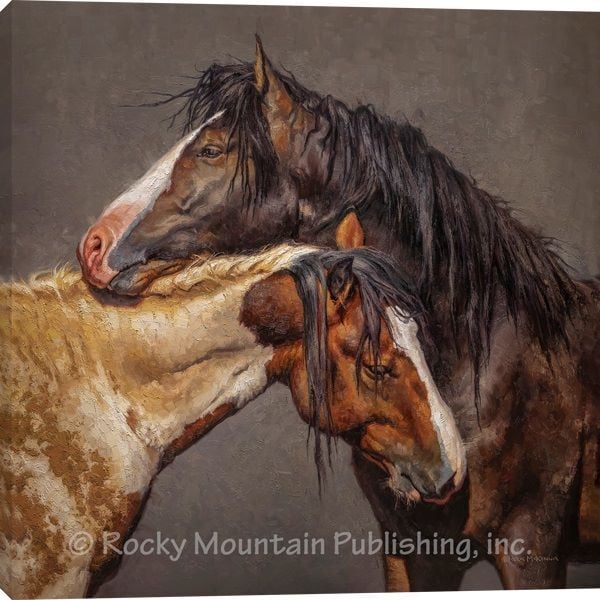 Rocky Mountain Publishing Embrace Canvas Wrap, 24-In x 24-In