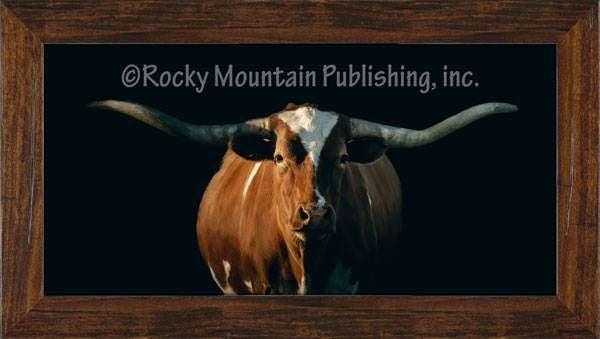 Rocky Mountain Publishing Longhorn Pano Canvas, 12-In x 23-In