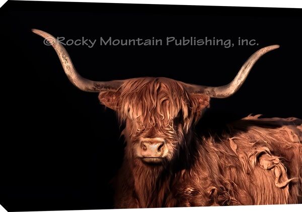 Rocky Mountain Publishing Highland Shadow Canvas Wrap, 16-In x 23-In