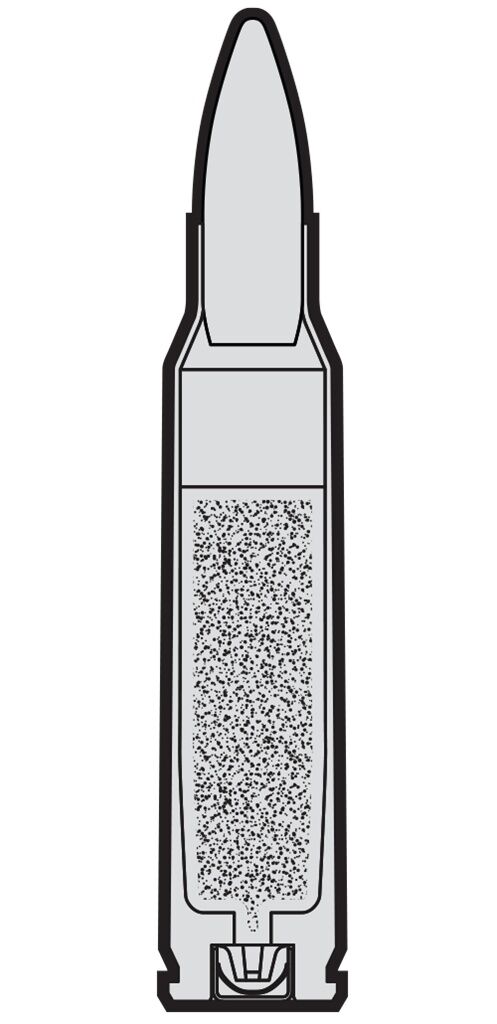 Winchester Target & Practice 5.56 NATO, 55 Grain Full Metal Jacket Rifle Ammo, 100-Rd