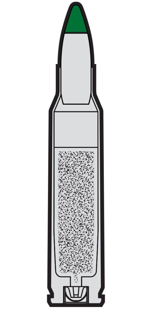 Winchester Target & Practice 5.56mm 62 Grain Ammunition, 200-Rd
