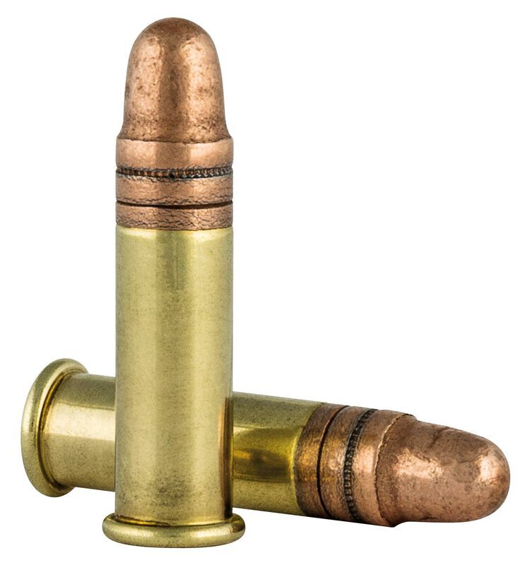 CCI Target Mini-Mag .22 LR, 40 Grain Copper Plated Round Nose Rifle Ammo, 100-Rd
