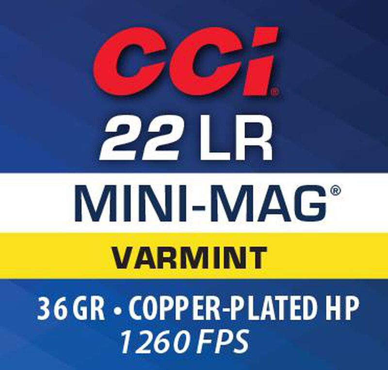 CCI Target Mini-Mag .22 LR, 36 Grain Copper Plated Hollow Point Rifle Ammo, 100-Rd