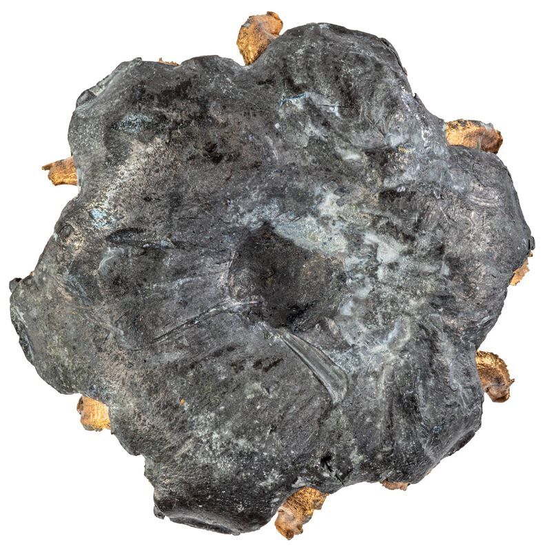 Federal Personal Defense Punch 10mm Auto, 200-Grain Jacketed Hollow Point Pistol Ammo, 20-Rd