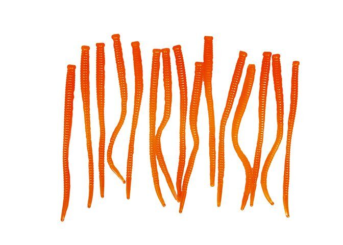 Pautzke Orange Fire Worms, 2.7-In, 15-Pk