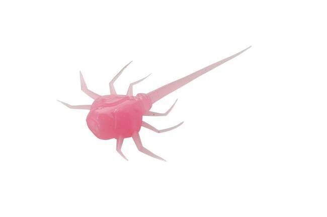 13 Fishing Coconut Crab 6 Pack - Bubble Gum