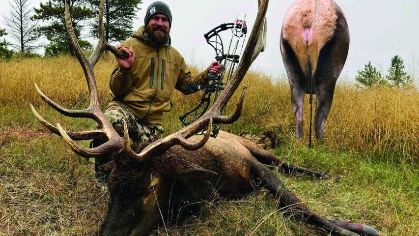 Montana Decoy Back Country Elk, 21-In x 43-In