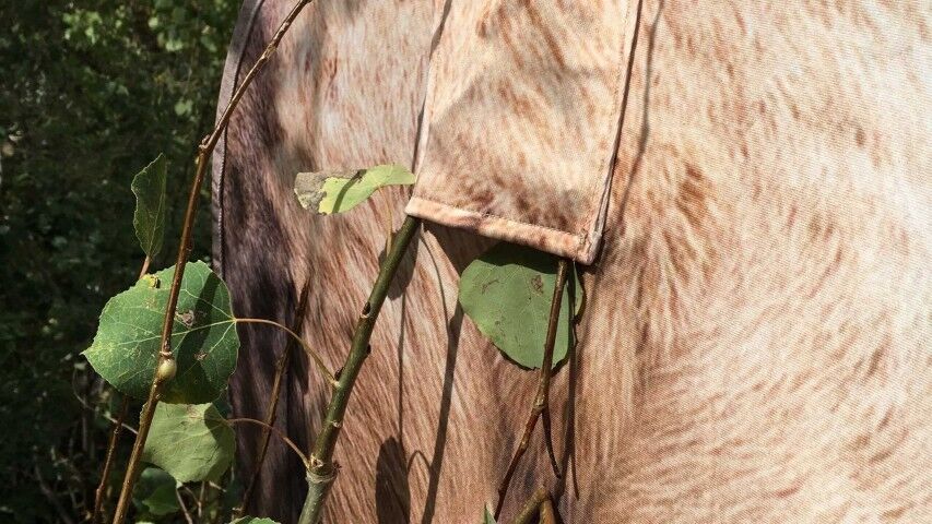 Montana Decoy Back Country Elk, 21-In x 43-In