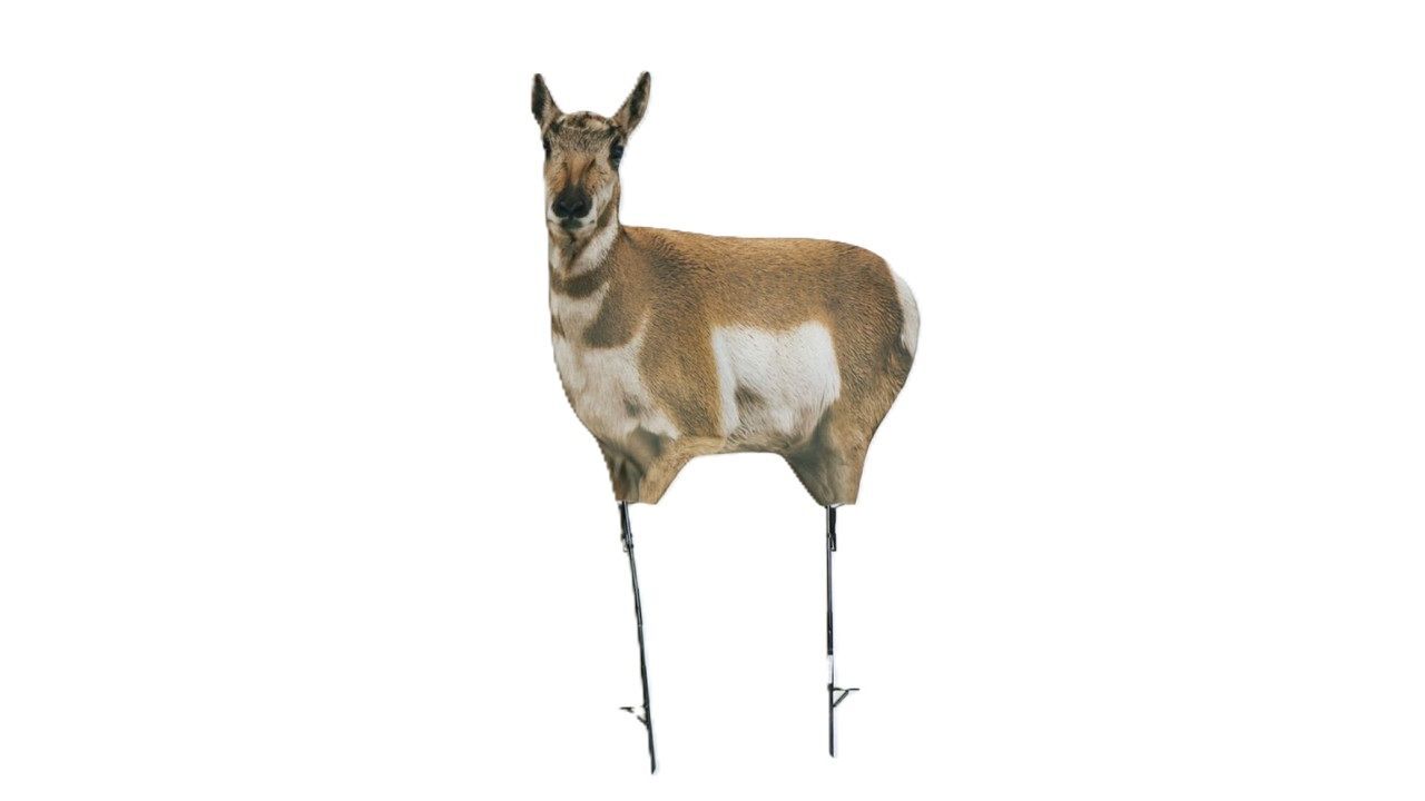 Montana Decoy Antelope Combo Buck & Doe Decoys