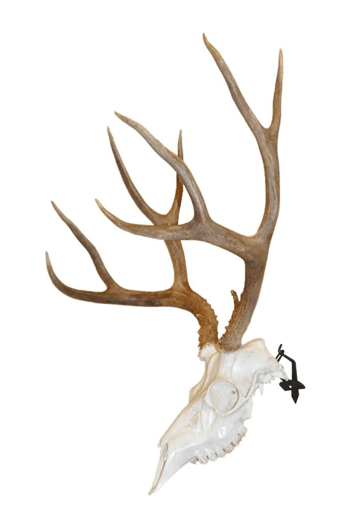 Dead On Display Angle Skull Mount Bracket Adapter