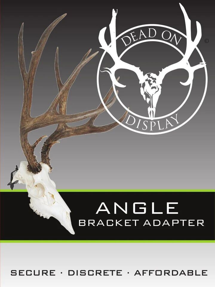 Dead On Display Angle Skull Mount Bracket Adapter