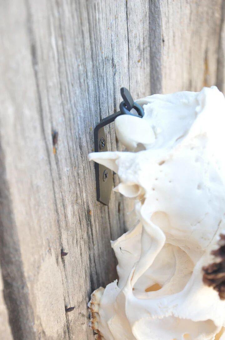 Dead On Display Medium European Hanger Mount