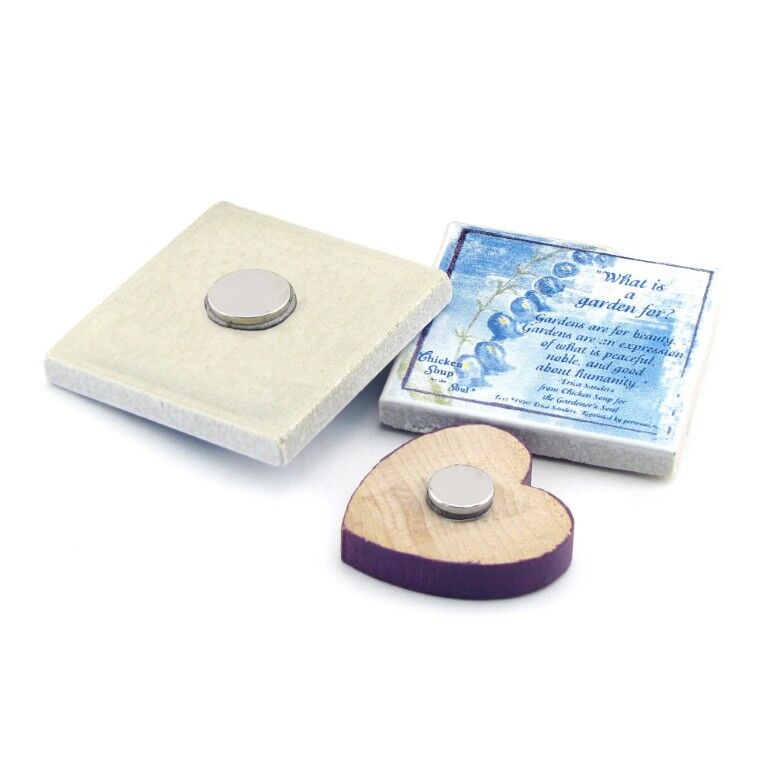 Magnet Source Neodymium Disc Magnets, 10-Pk