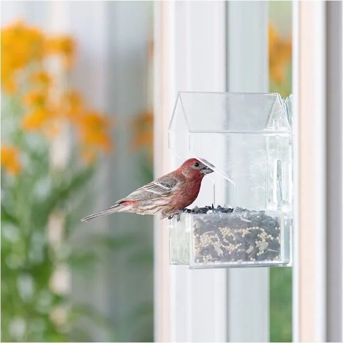 Perky-Pet Window Bird Feeder, 1/2-Lb