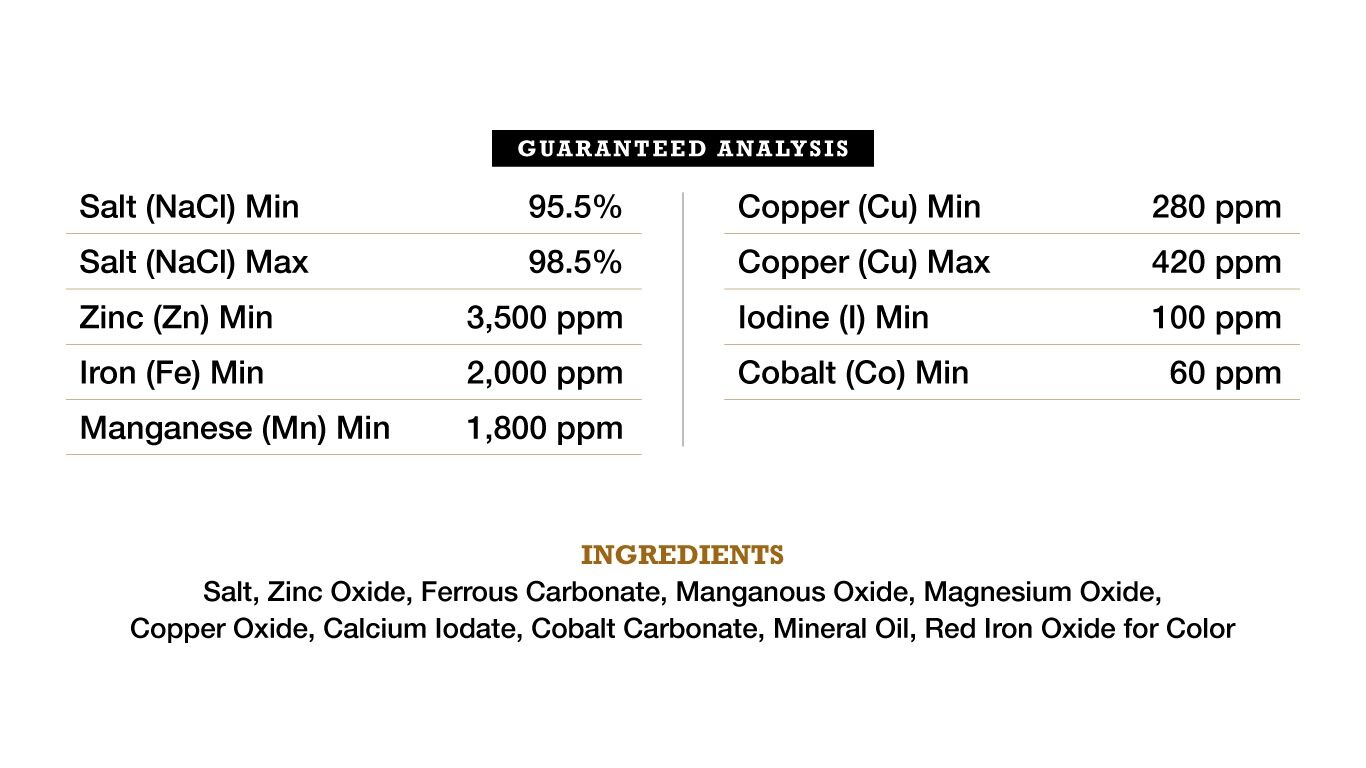 American Stockman Trace Mineralized Salt Block, 4-Lb