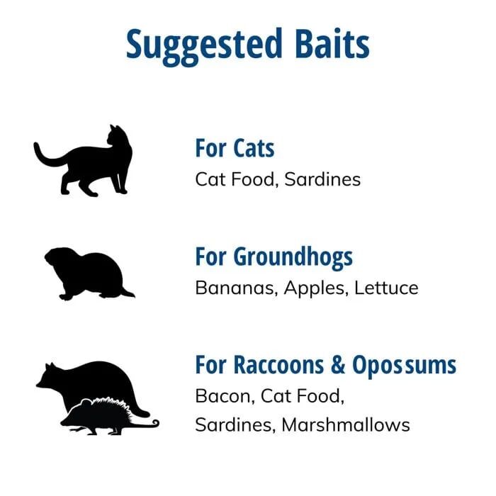 Havahart Large 1-Door Animal Trap, 32 In X 10 In X 12 In