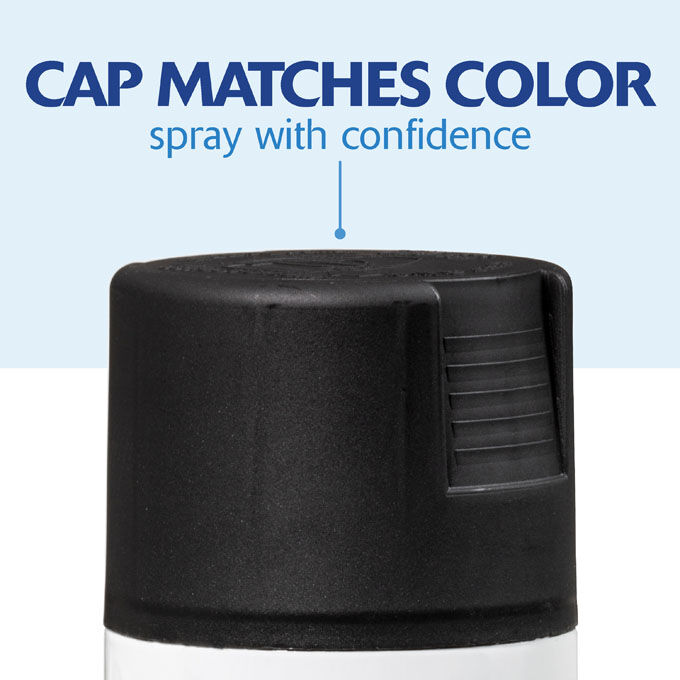 Rust-Oleum Painter's Touch 2X Ultra Cover Spray Paint Satin Canyon Black, 12-Oz