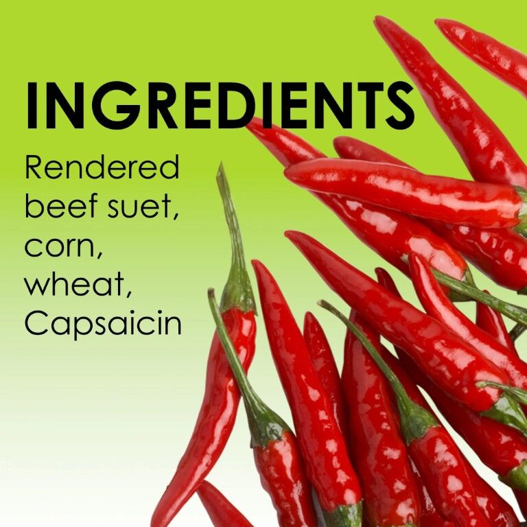 Heath Hot Pepper Squirrel-Resistant Suet Cake, 11.25-Oz